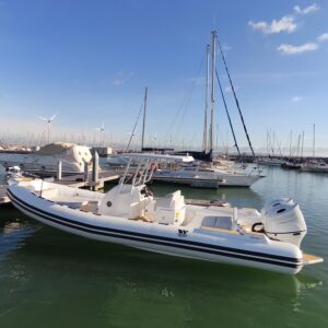 Tiger Marine 850 Fish - 2x DF 150 Suzuki