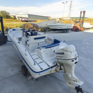 Ranieri 19 + Evinrude 115 D.I