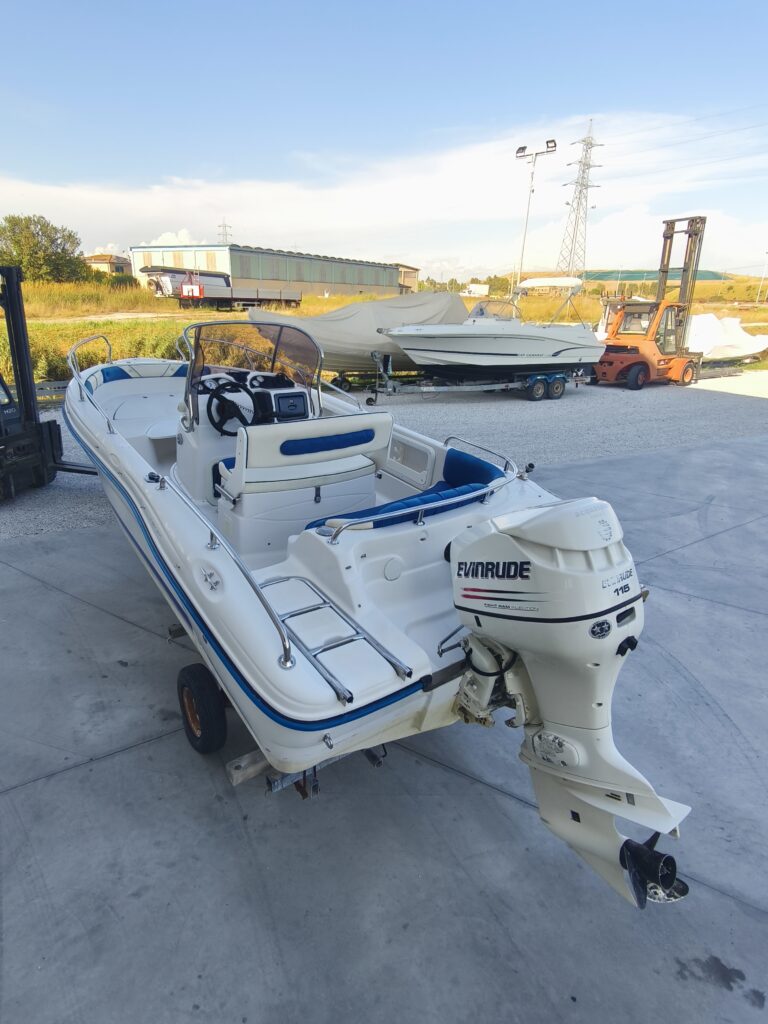 Ranieri 19 + Evinrude 115 D.I