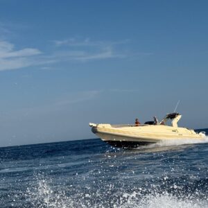 Solemar 33 Night e Day 2x 350 suzuki